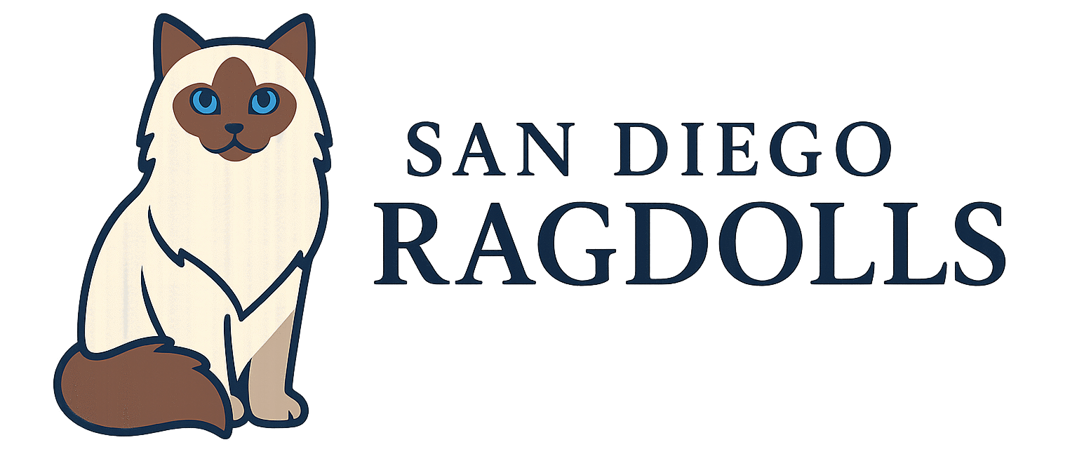 SD Rag Dolls